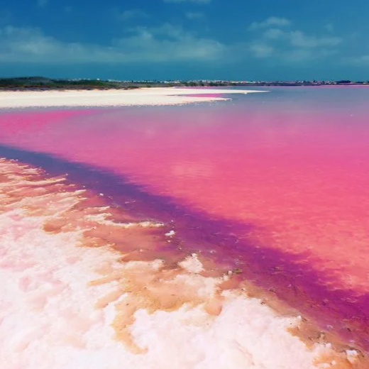 Laguna Rosa w Torrevieja